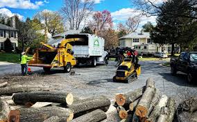 Best Tree Removal  in Halesite, NY