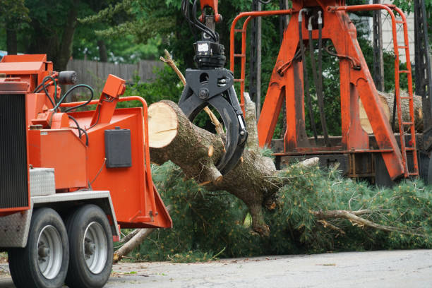 Best Lawn Mowing  in Halesite, NY